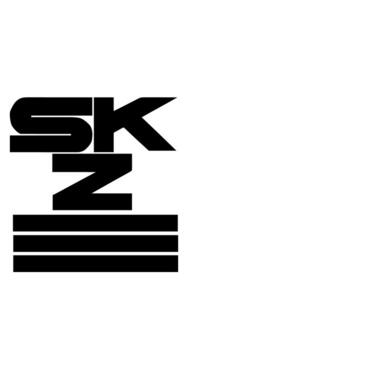 SKZ Kinderschwimmkurs Zollikon